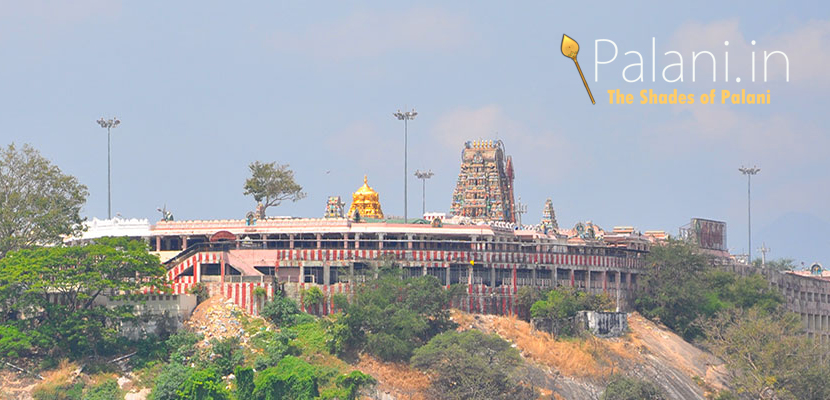 palani temple kumabishekam 2023