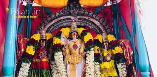 palani murugan festival - thaipusam 2023