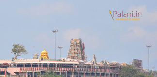 palani temple kumbaabishekam