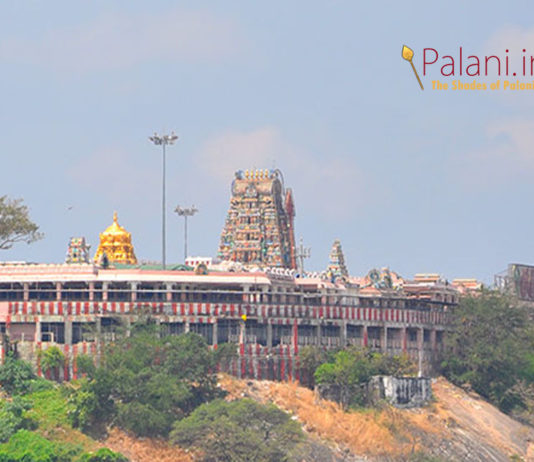 palani temple kumbaabishekam