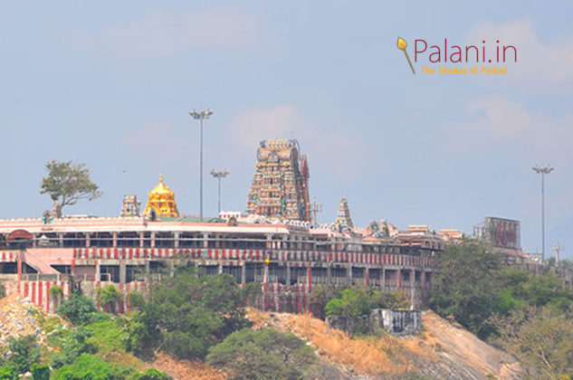 palani temple kumbaabishekam