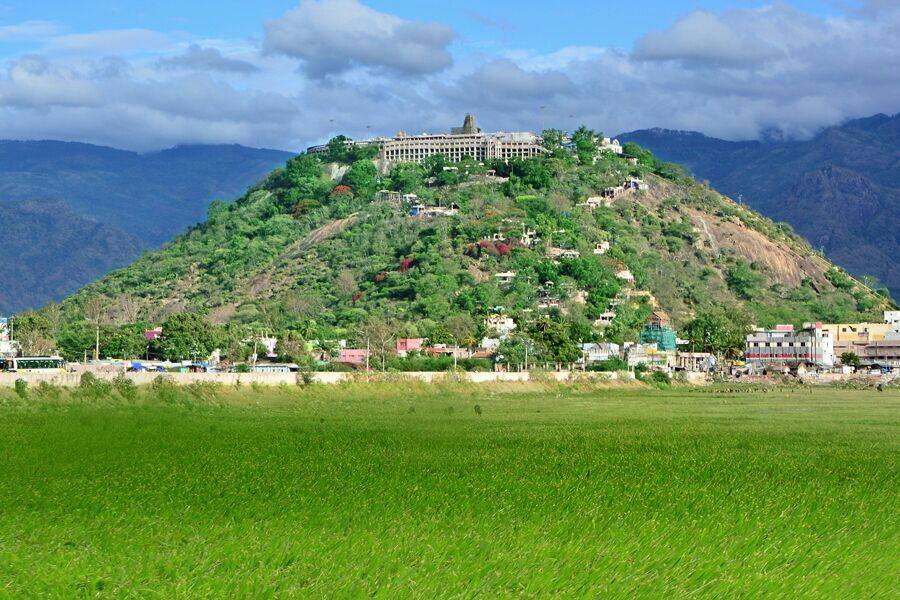 palani hills